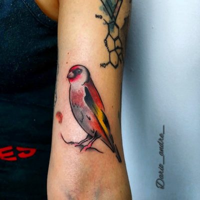 tatuajes-color (11)